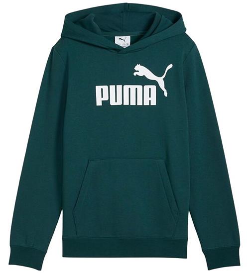 Puma Hættetrøje - ESS No. 1 Logo - Green Terrain