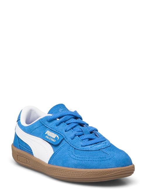 Palermo Ps PUMA Blue