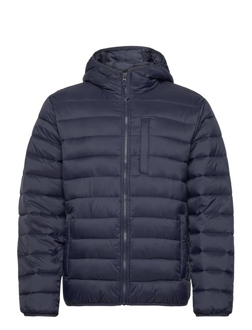 Hco. Guys Outerwear Hollister Navy