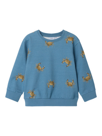 Se NAME IT Sweatshirt Fernan Spring Lake hos SmartKidz