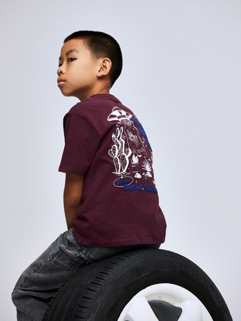 Se NAME IT T-shirt Karlo Fig hos SmartKidz