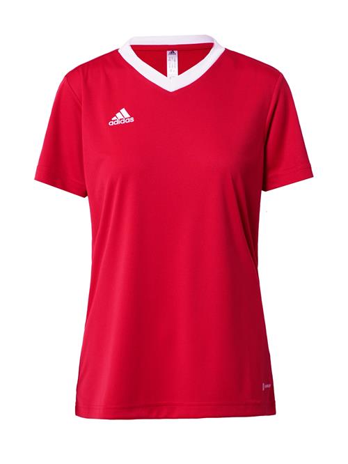 ADIDAS PERFORMANCE Fodboldtrøje 'Entrada 22'  rød / hvid