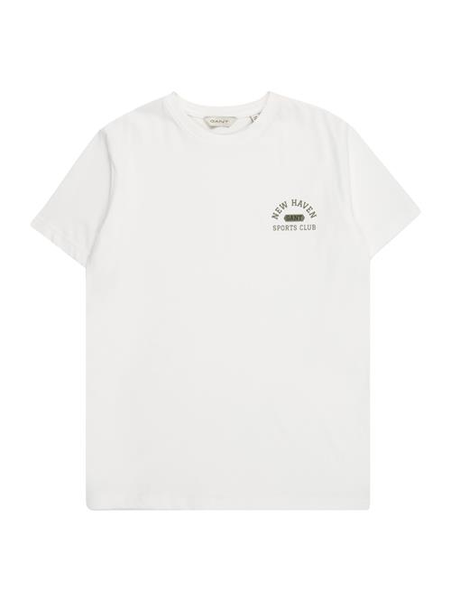 GANT Shirts  grøn / sort / hvid