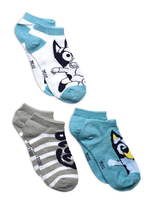 Socks Bluey Patterned