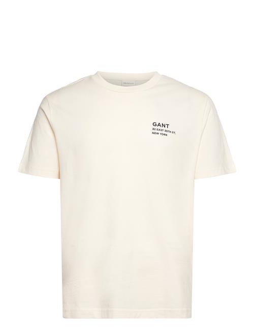 Se Small Graphic Ss T-Shirt GANT Cream ved Booztlet