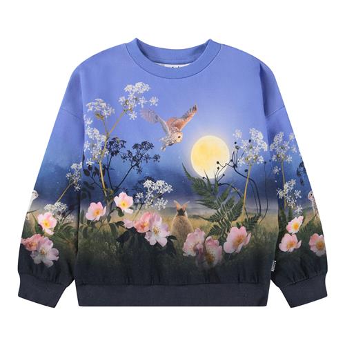 Molo Maxi Sweatshirt Magic Moonrise 98 cm  Blå  98 cm  kvinde