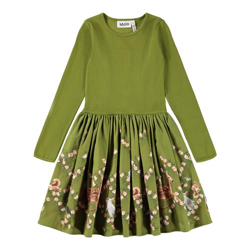 Molo Casie Warm Dress Ls Argyle Forest 134/140 cm  Grøn  134/140 cm  kvinde