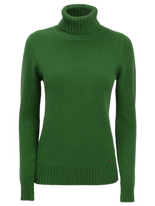 Influencer Pullover  grøn