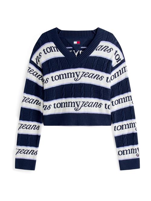 Tommy Jeans Pullover  navy / lyseblå / hvid