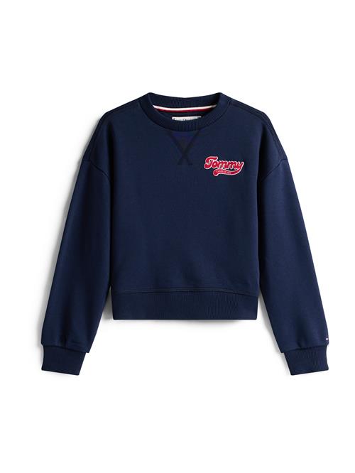 TOMMY HILFIGER Sweatshirt  navy / rød / hvid