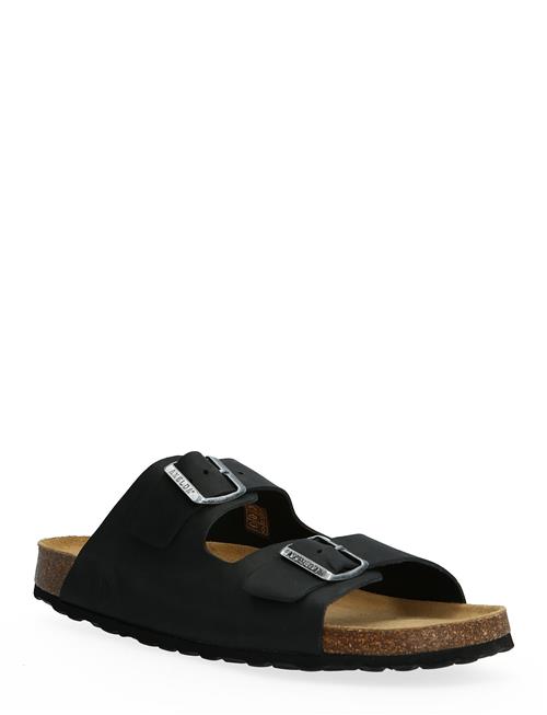 Andrea Axelda Black