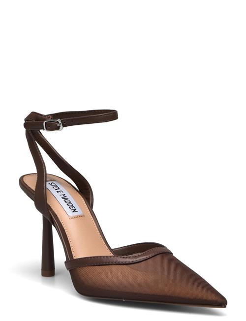 Alliance-M Steve Madden Brown