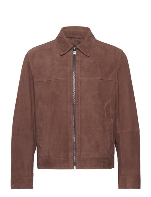 H-Malbano5 BOSS Brown