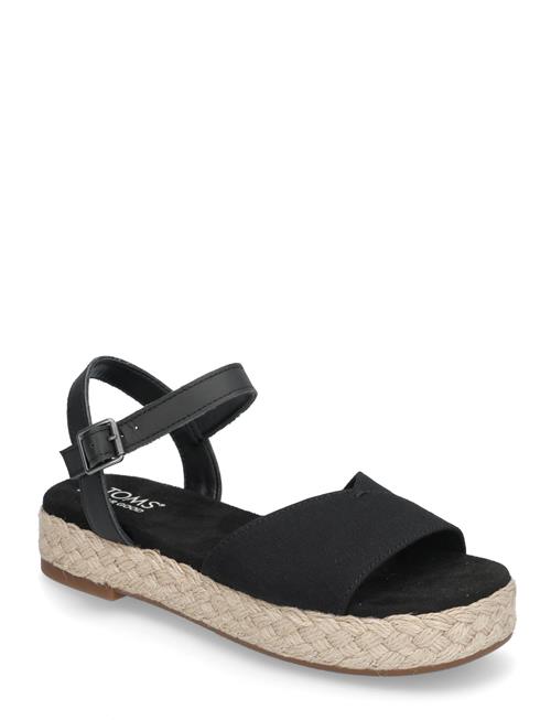 Abby TOMS Black