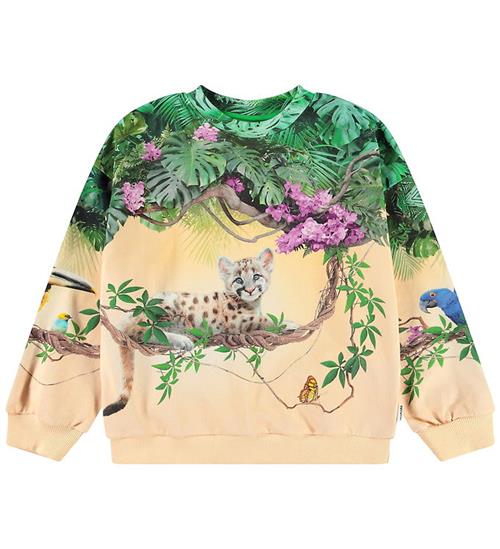 Molo Sweatshirt - Maxi - Pumatastic