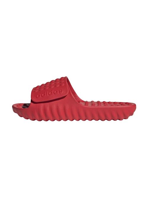 ADIDAS SPORTSWEAR Pantoletter 'ADISSAGE'  rød