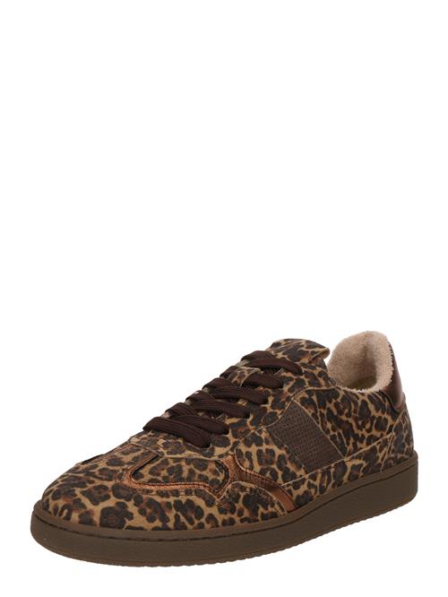 Apple of Eden Sneaker low 'AMORI'  brun / sepia / mørkebrun