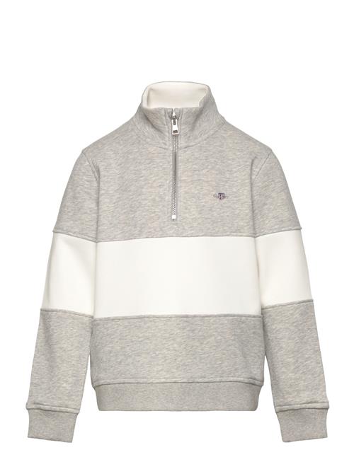 Color Blocked Shield Half Zip GANT Grey