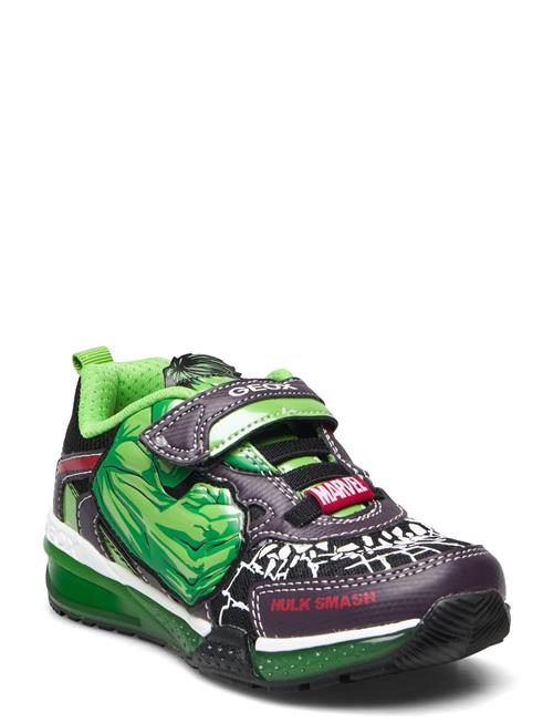 J Bayonyc Boy GEOX Patterned