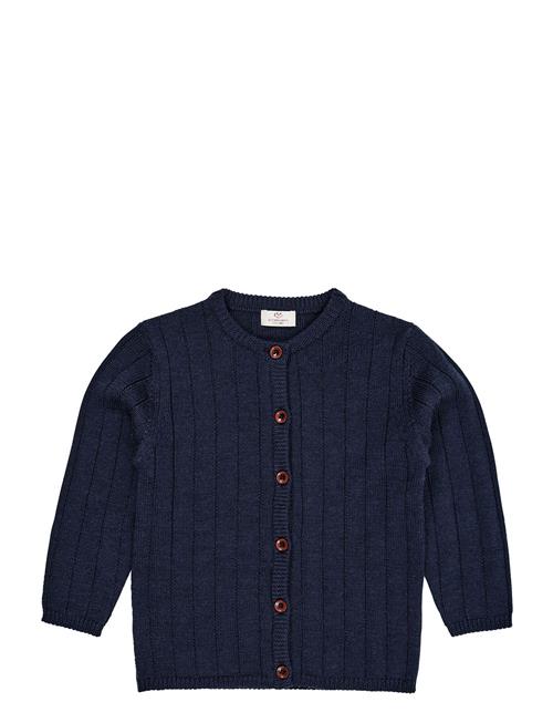 Se Merino Knitted Cardigan Copenhagen Colors Navy ved Booztlet
