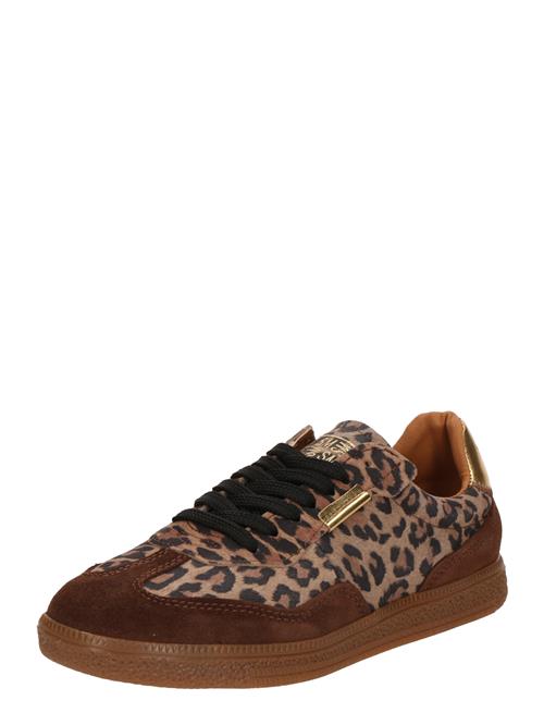 STEVE MADDEN Sneaker low 'Emporia'  cappuccino / mørkebrun / guld / sort