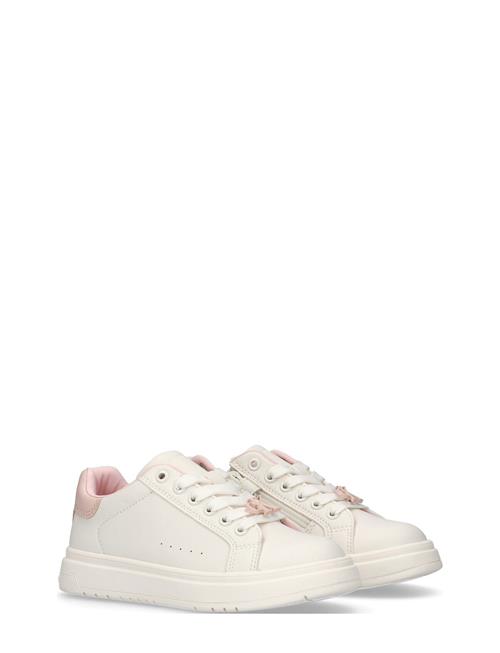Low Tops Lace-Up Sneaker Calvin Klein Pink