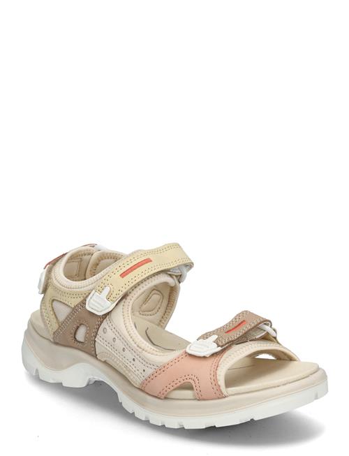 Offroad ECCO Cream