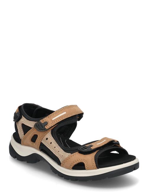 Offroad ECCO Black