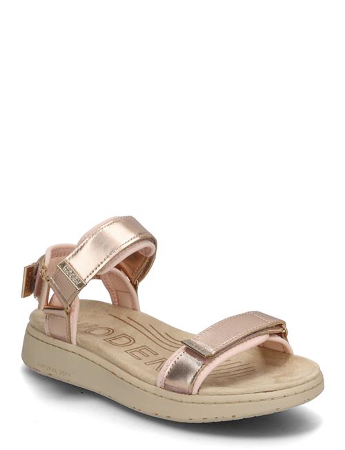 Line Metallic WODEN Pink