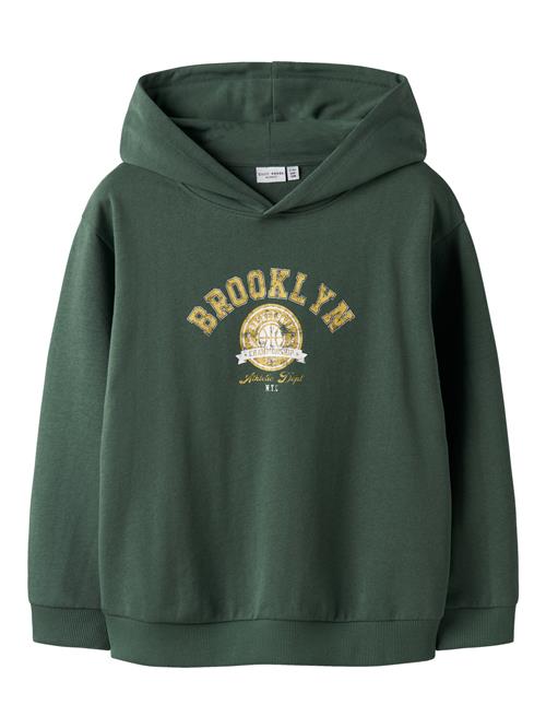 NAME IT Sweatshirt Velten Garden Topiary Brooklyn Basket