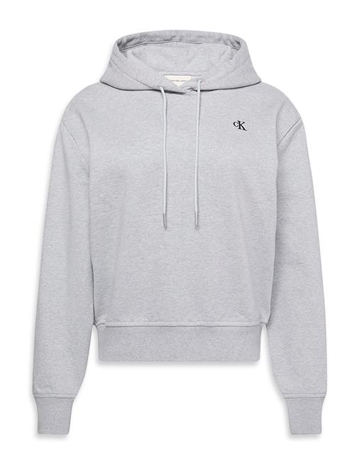 Calvin Klein Jeans Sweatshirt  grå