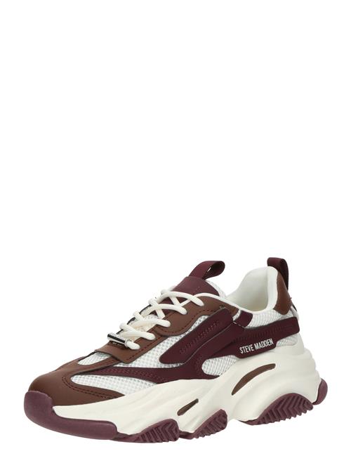 STEVE MADDEN Sneaker low 'POSSESSION'  brun / vinrød / uldhvid