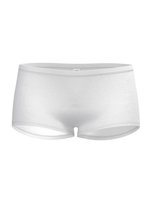 CALIDA Panty  hvid