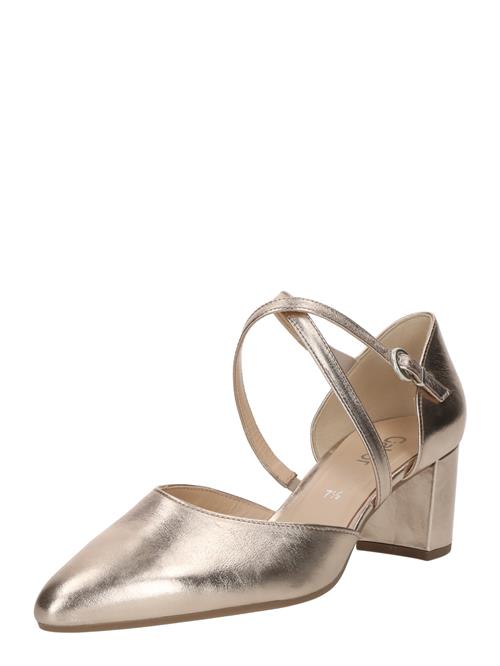 GABOR Pumps  pudder