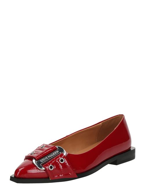 STEVE MADDEN Ballerinasko ' 'Grail'  rød