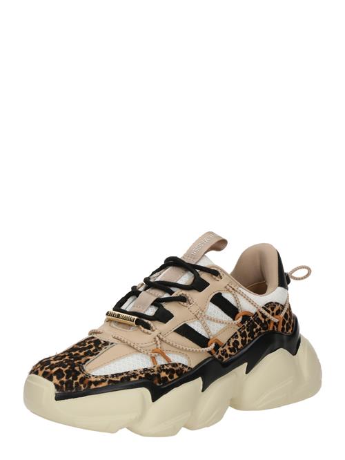 STEVE MADDEN Sneaker low 'Spectator-L'  cappuccino / sort / hvid