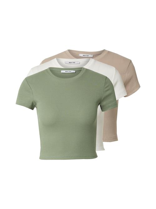 ABOUT YOU Shirts 'Loryn'  lysegrøn