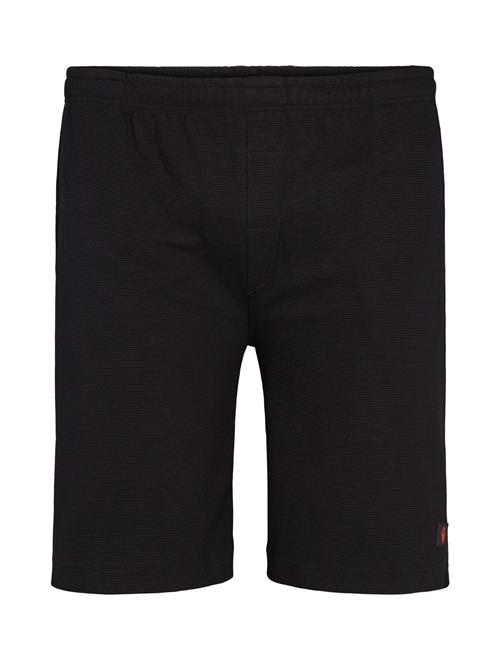 North Casual shorts