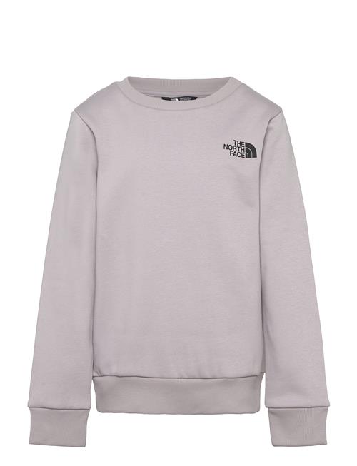 Teen Simple Dome Crew The North Face Grey