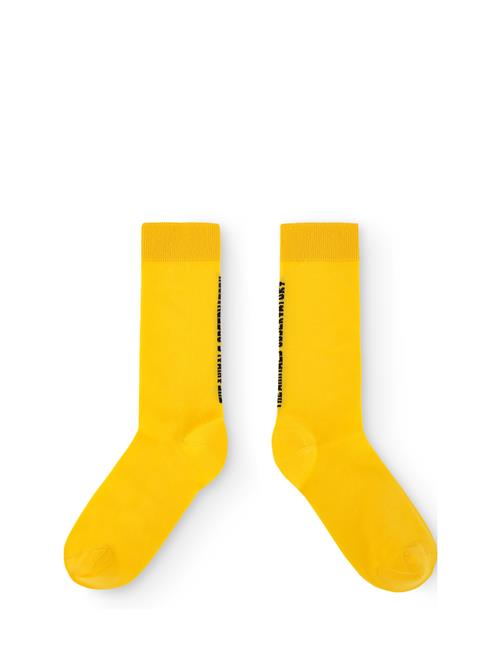 Snail Kid Socks Yellow THE ANIMALS OBSERVATORY Yellow