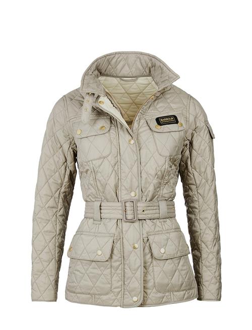 B.intl International Q Barbour Brown