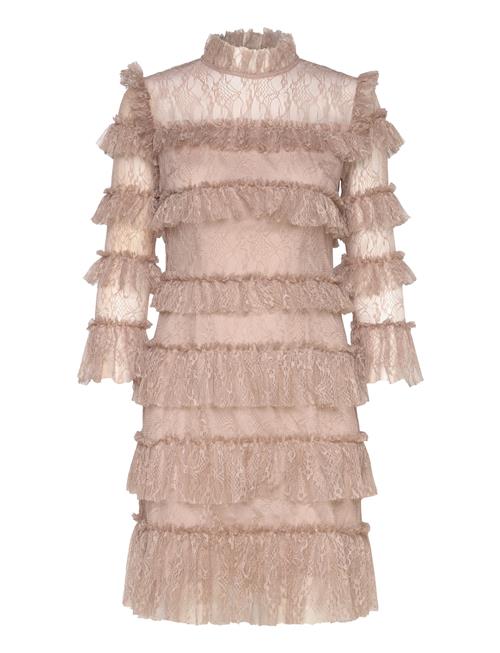 Carmine Frill Lace Mini Dress Malina Beige