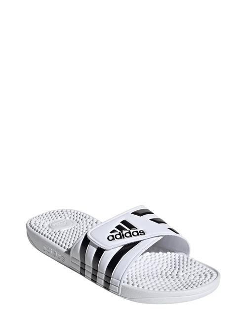 Adissage Adidas Sportswear White