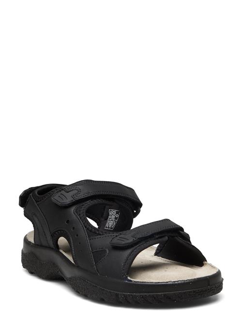 Loop Marstrand Sandal Brun 45 Marstrand Black