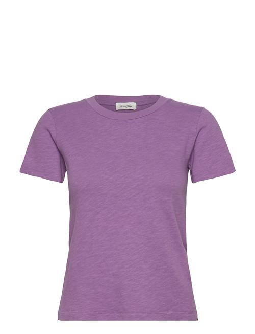 Sonoma American Vintage Purple