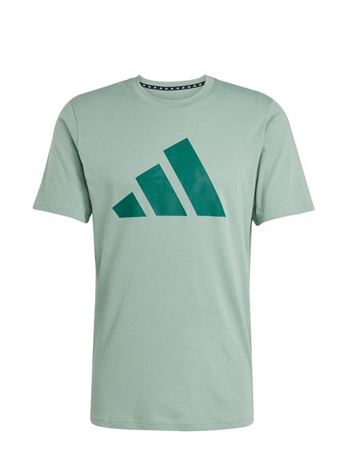 Tr-Es Fr Logo T Adidas Performance Green