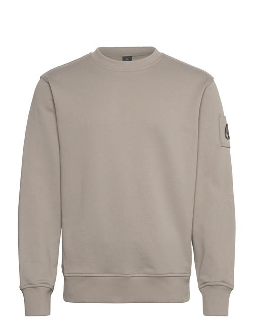 Hartsfield Crew Moose Knuckles Beige