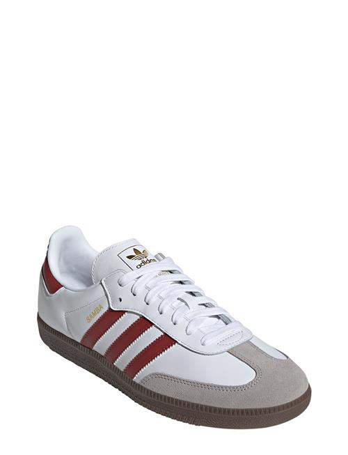 Samba Og Adidas Originals White