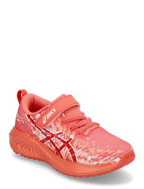 Pre Noosa Tri 16 Ps Asics Coral