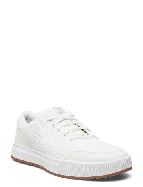 Low Lace Up Sneaker Timberland White